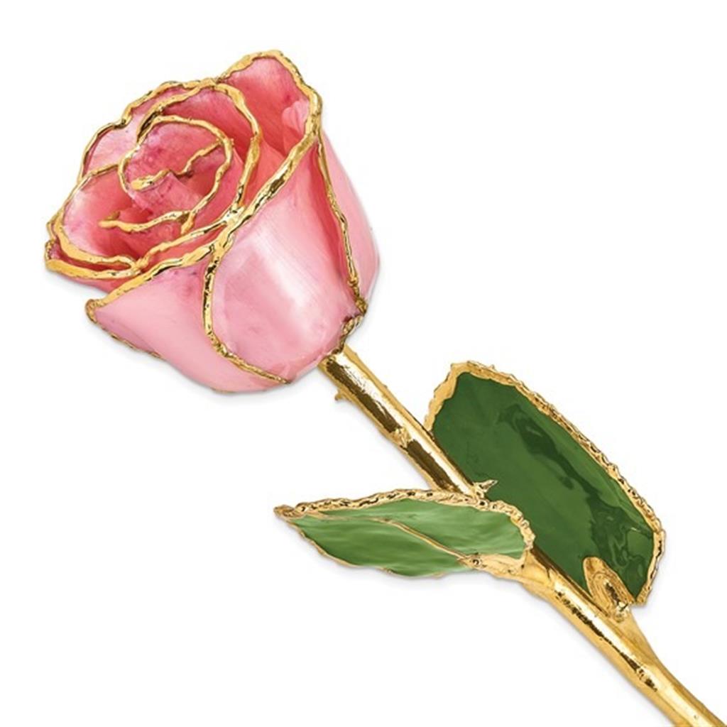Lacquer Dipped Gold Trimmed Pink Pearl Real Rose