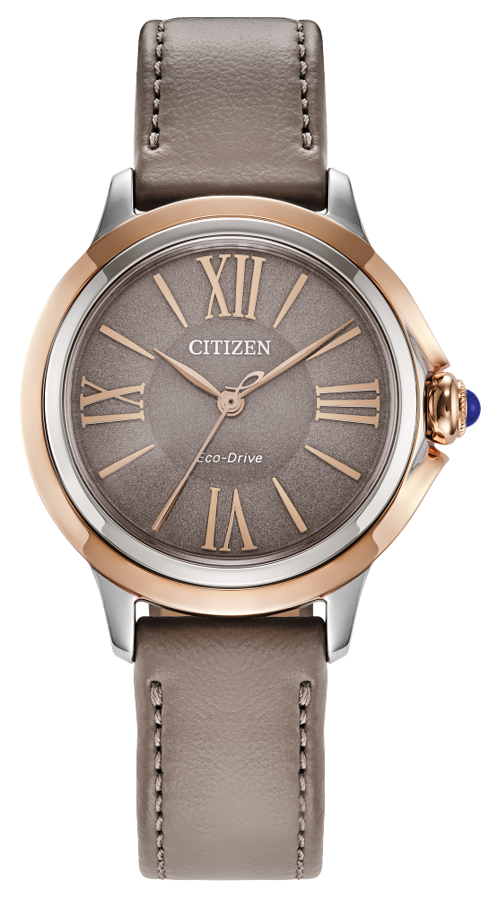 Citizens Watch