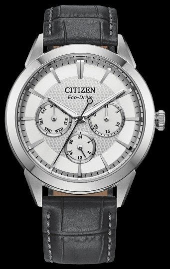 Citizen's Rolan Watch