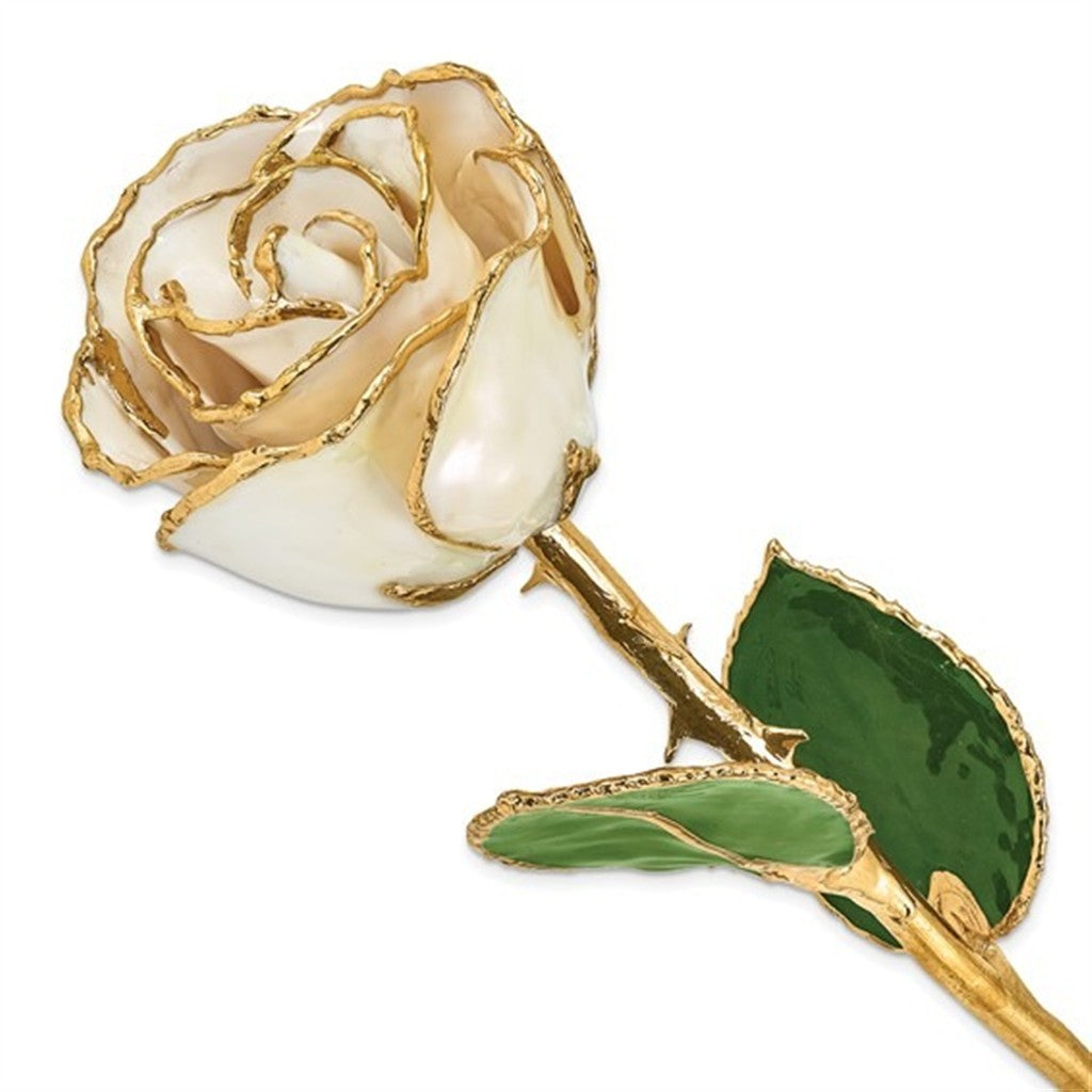 Lacquer Dipped Gold Trimmed White Satin Real Rose