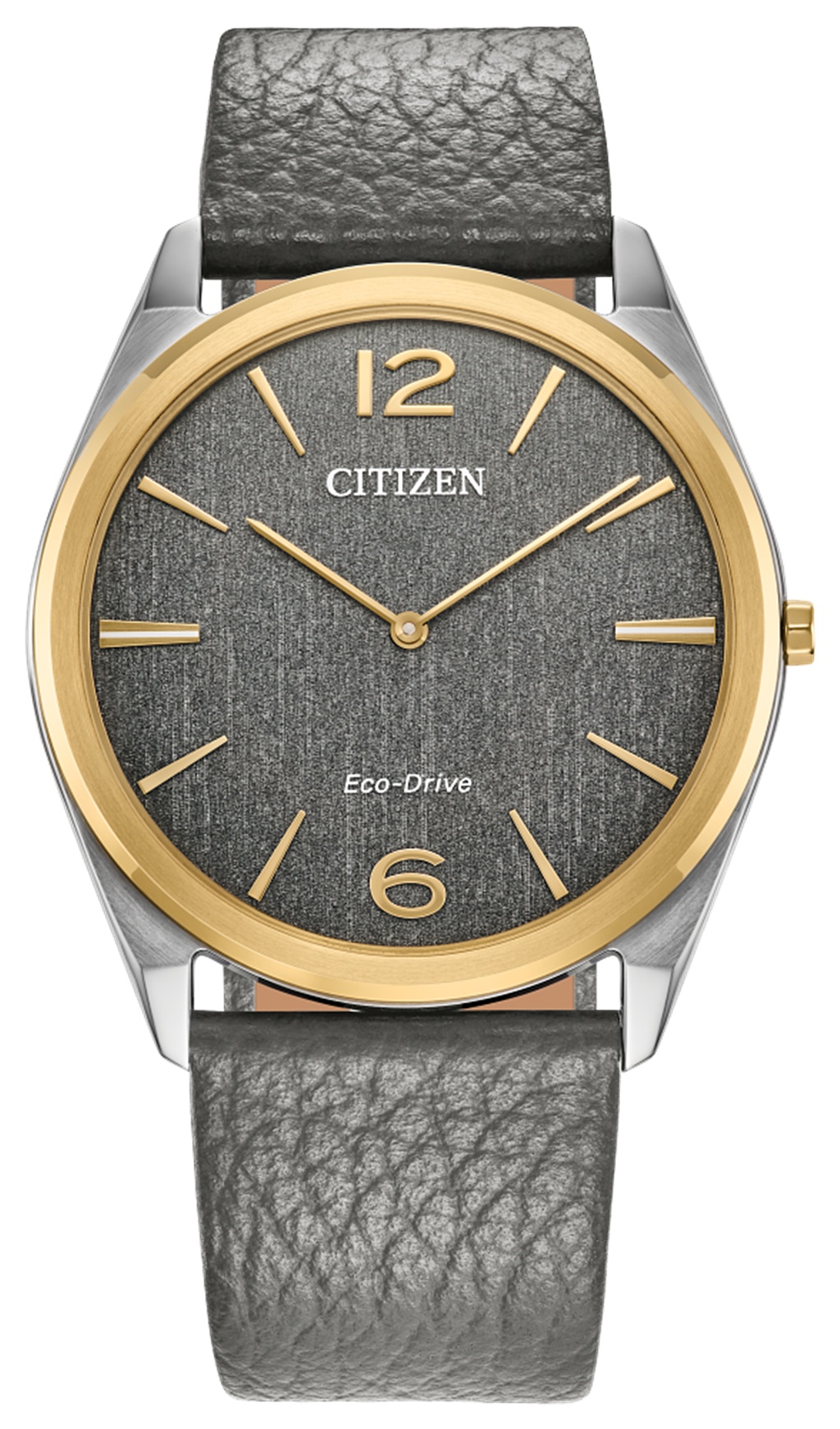 Citizens Watch