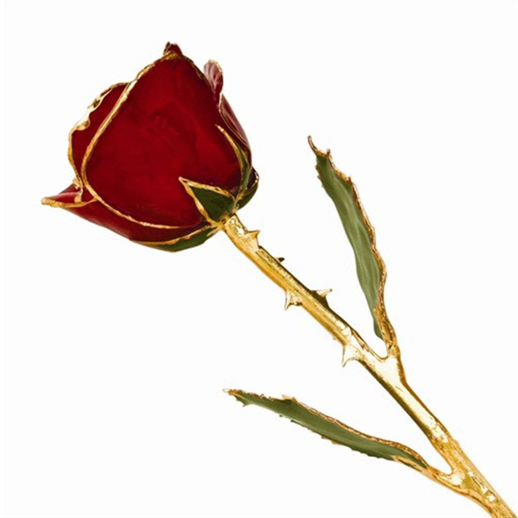 Lacquer-Dipped 24K Gold-Trimmed Red Rose