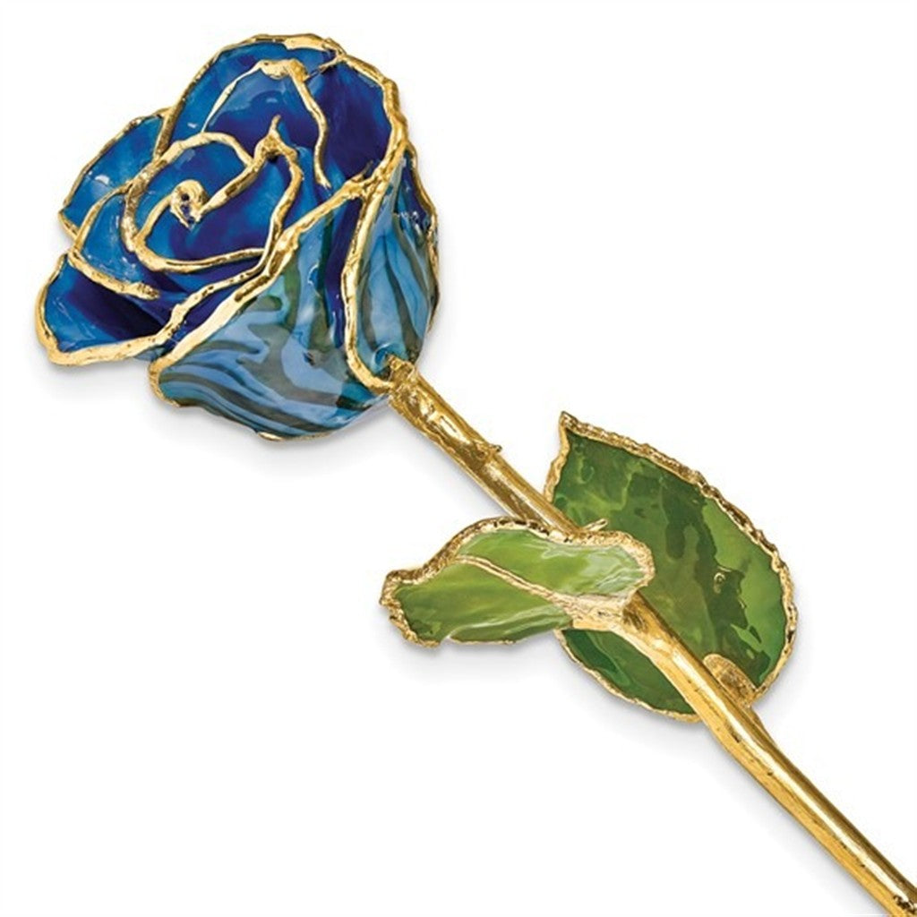 Lacquer Dipped Gold Trimmed Black And Blue Zebra Rose