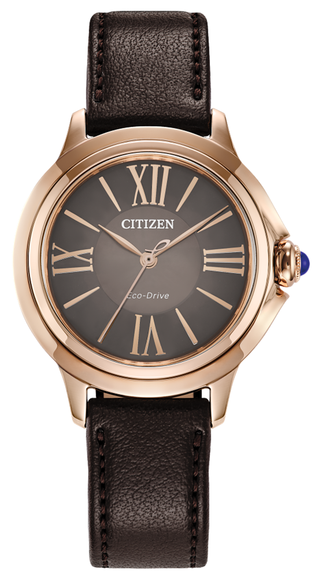 Citizens Watch