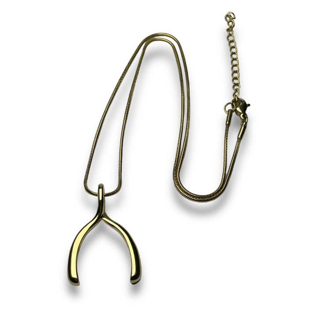 CONQUERing Wishbone Interchangeable Necklace