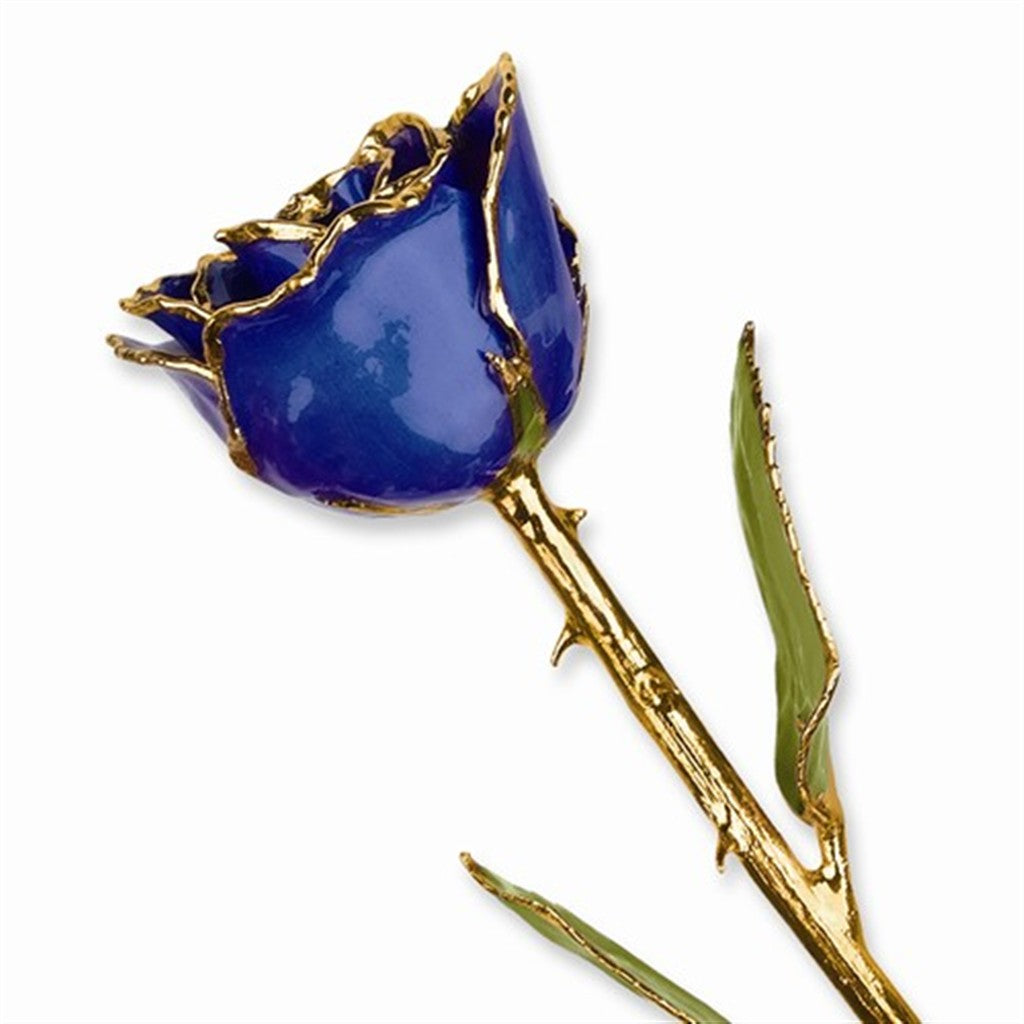 Lacquer-Dipped 24K Gold-Trimmed Blue Violet Pearl Rose