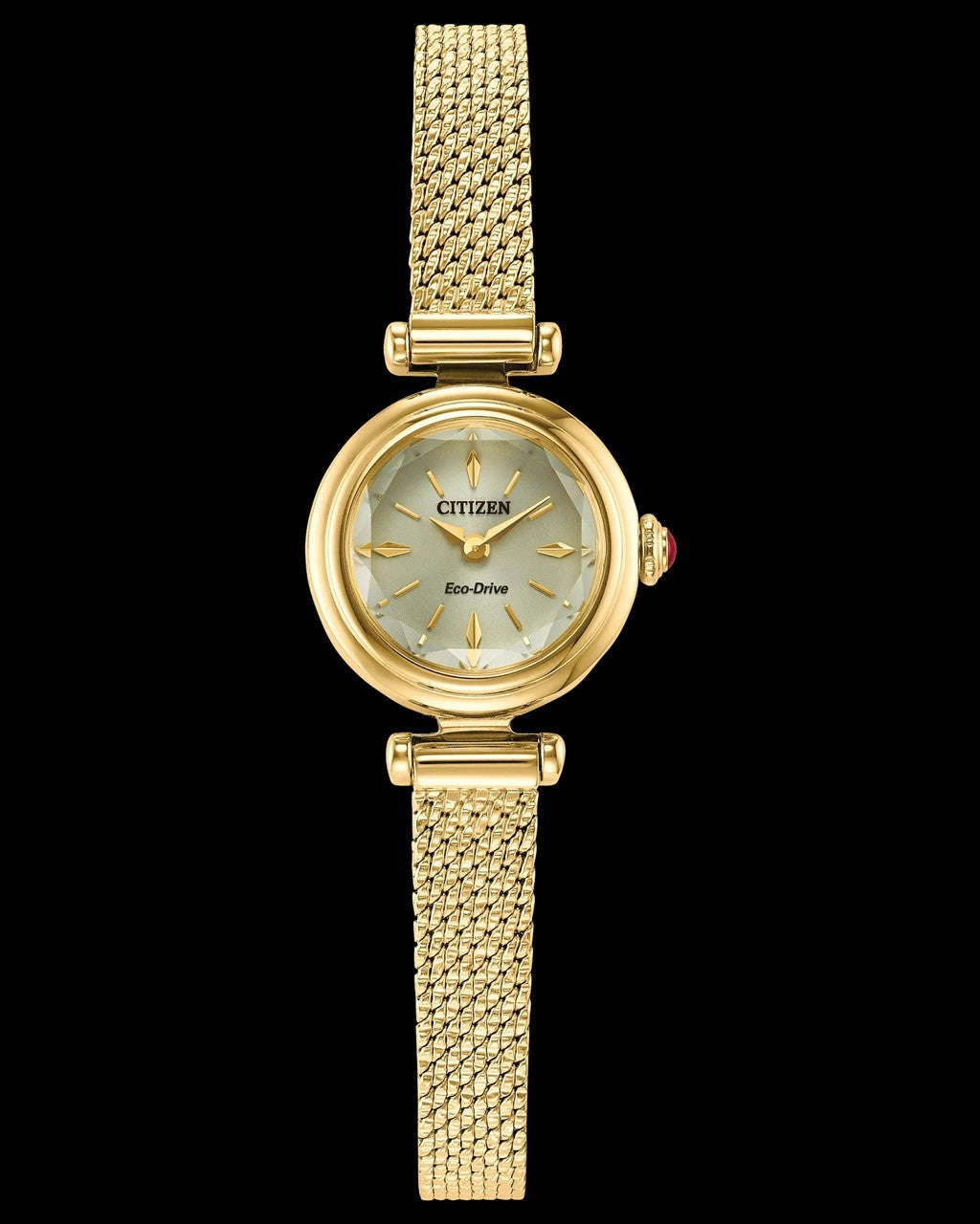 Citizen Fio Watch