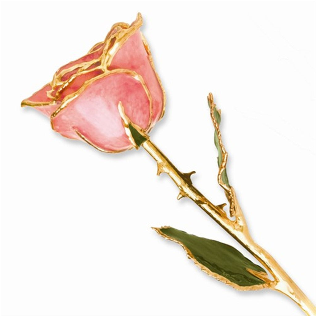Lacquer-Dipped 24K Gold-Trimmed Pink Rose