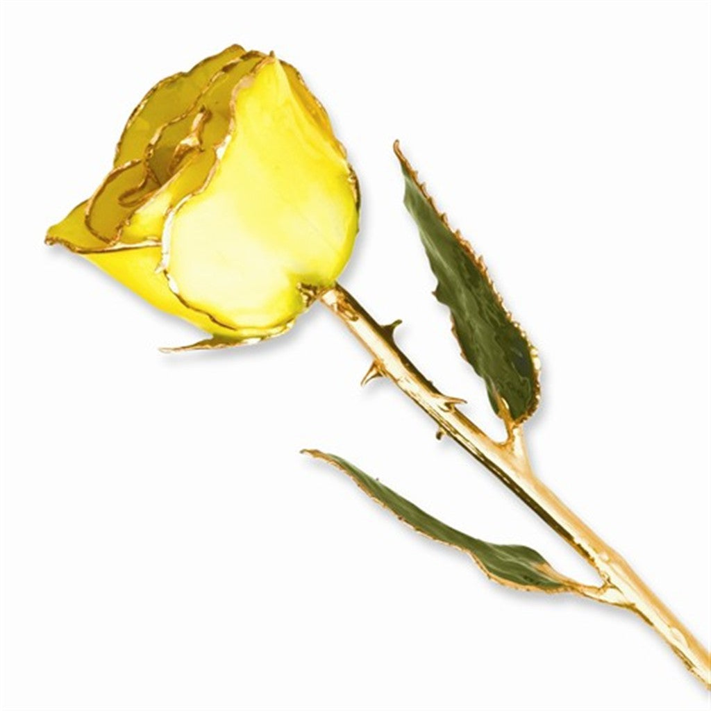 Lacquer Dipped Gold Trim Yellow Rose