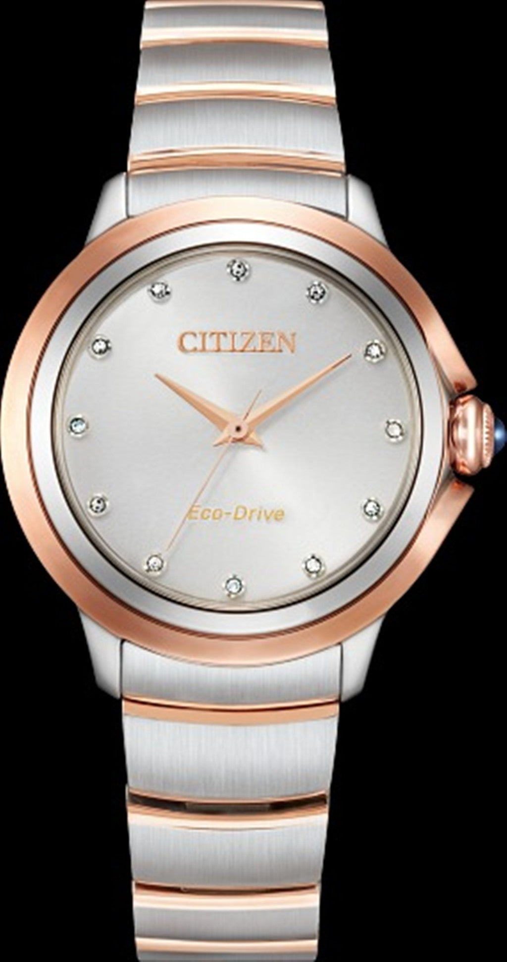 Ladies Ceci Watch