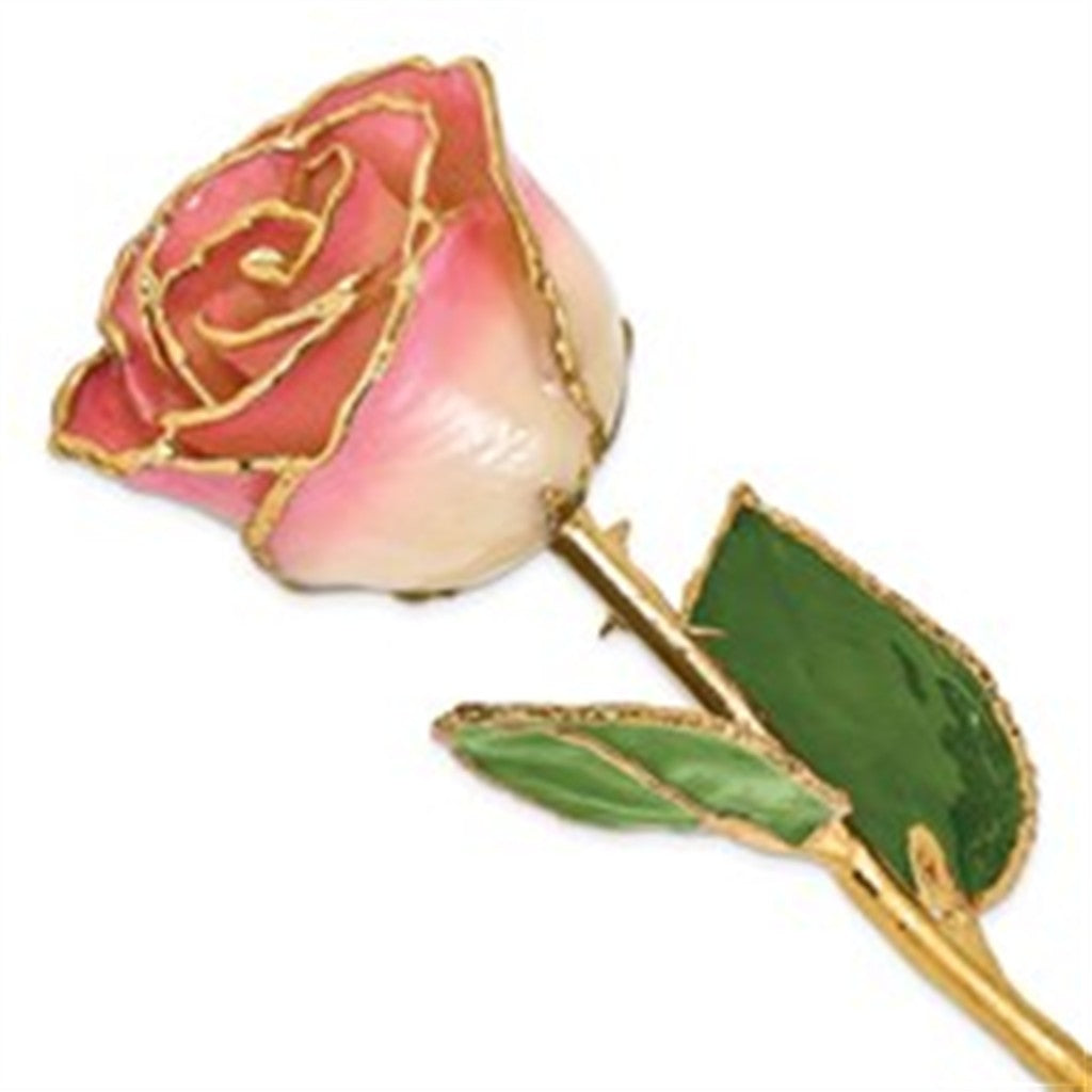 Lacquer-Dipped 24K Gold-Trimmed White Pink Rose